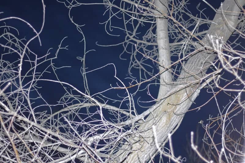 Layton Winter Nightscape - Image 1