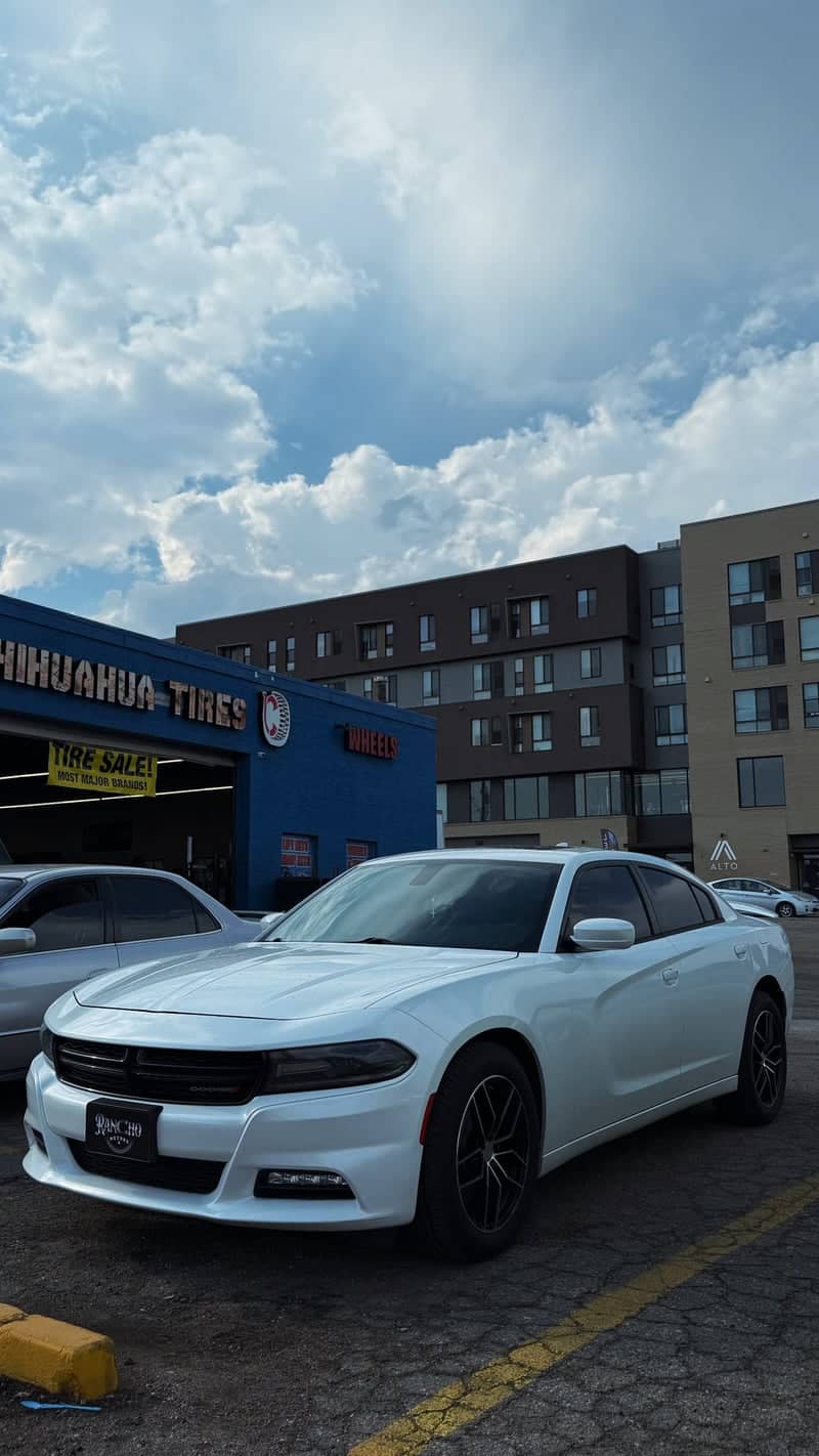 Chihuahua Tires & Wheels - Image 1