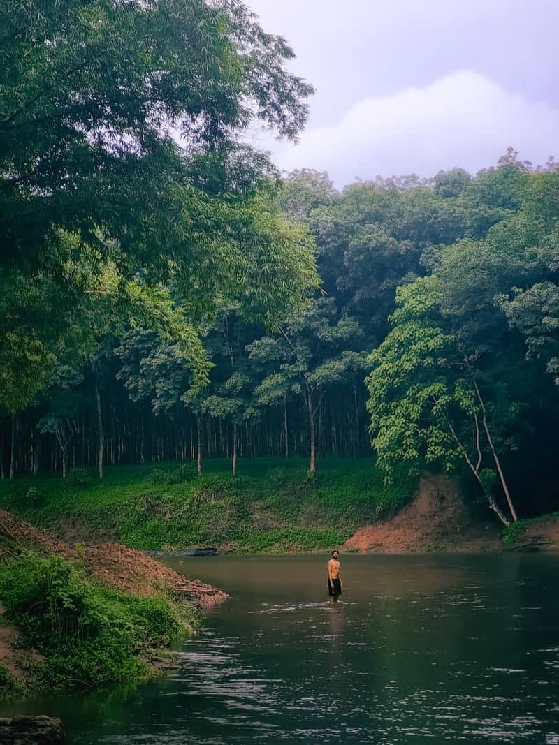 Kallada River Forest Bank - Image 1