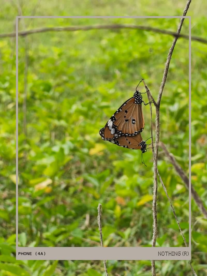 Kommadi Nature Trail - Image 1