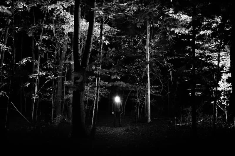 Vestal Wooded Trail - Image 1