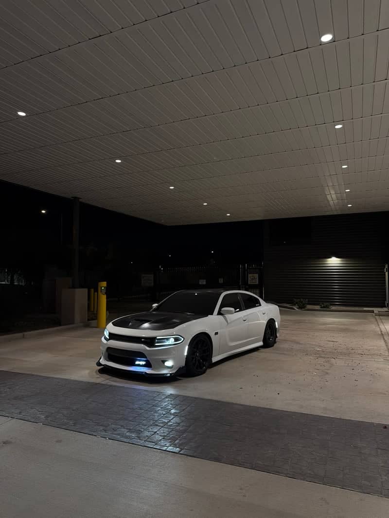 Modern Canopy Night Spot - Image 1