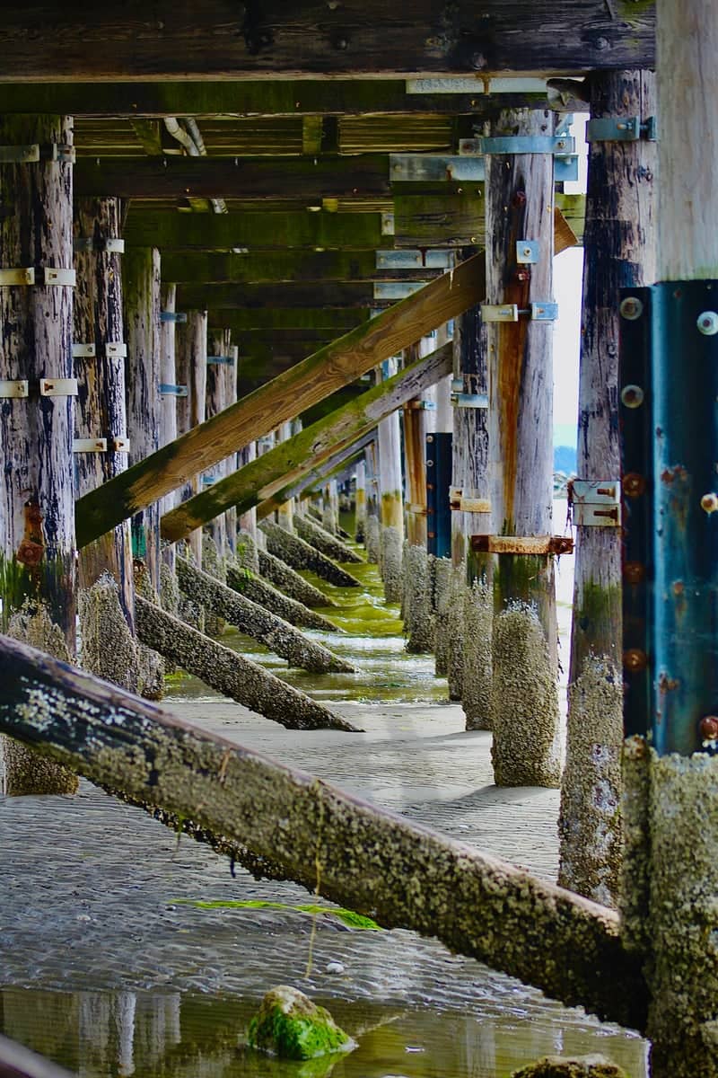 White Rock Pier - Image 1