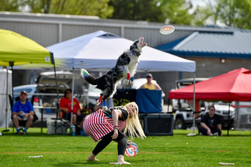 Point Mallard Park Event Field - Image 1