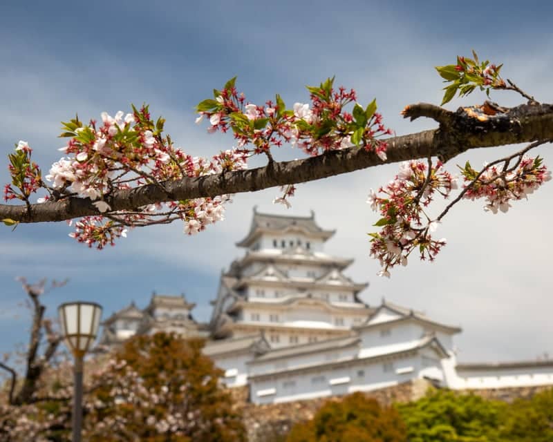 Himeji Castle - Image 1