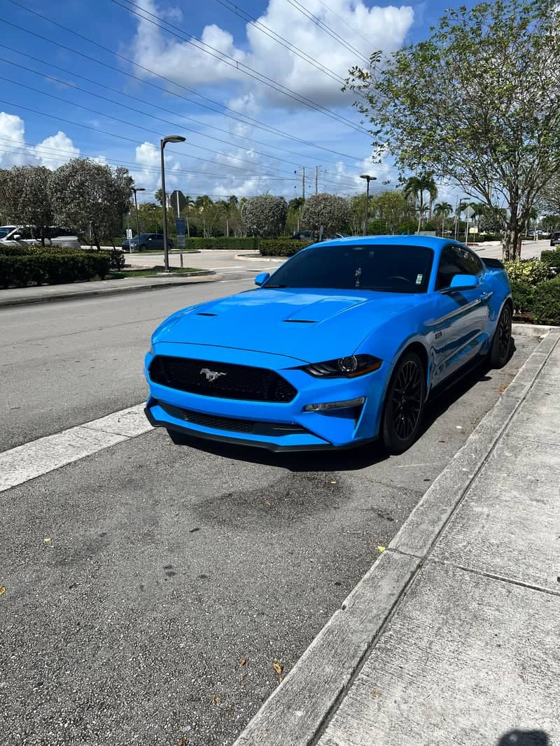 Doral Automotive Streetscape - Image 1