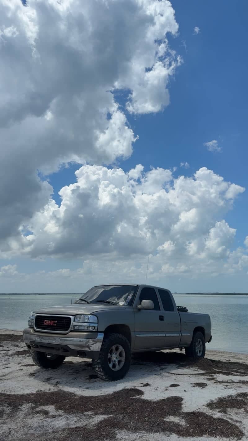 Dunedin Causeway - Image 1