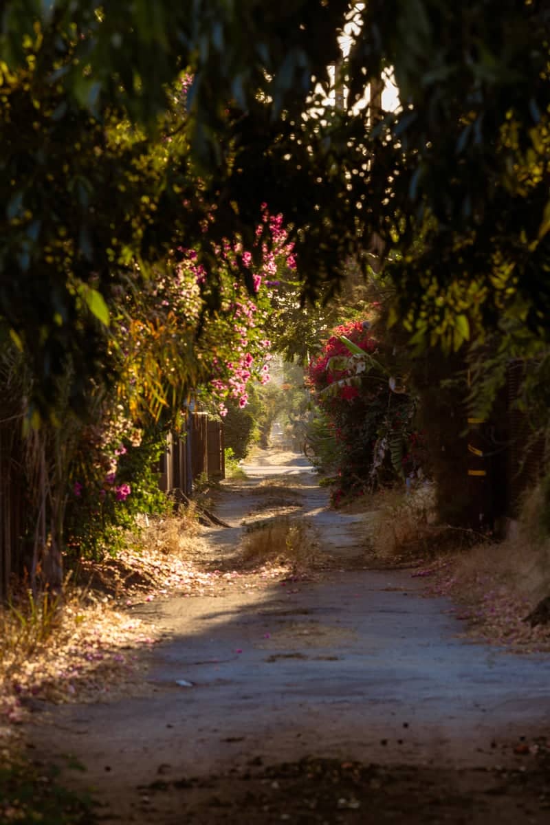 Pomona Garden Alleyway - Image 1