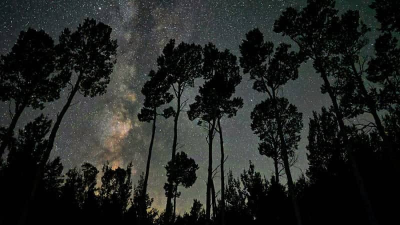 Caribou-Targhee National Forest Night Sky - Image 1
