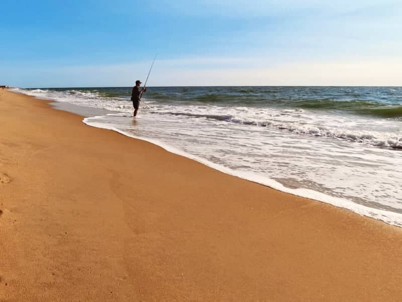 Bethany Beach Shoreline - Image 1