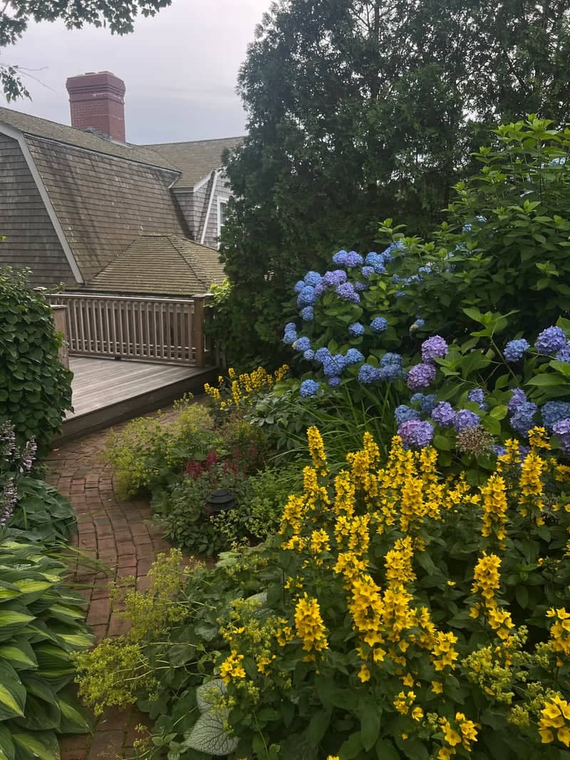 Nantucket Garden Path - Image 1
