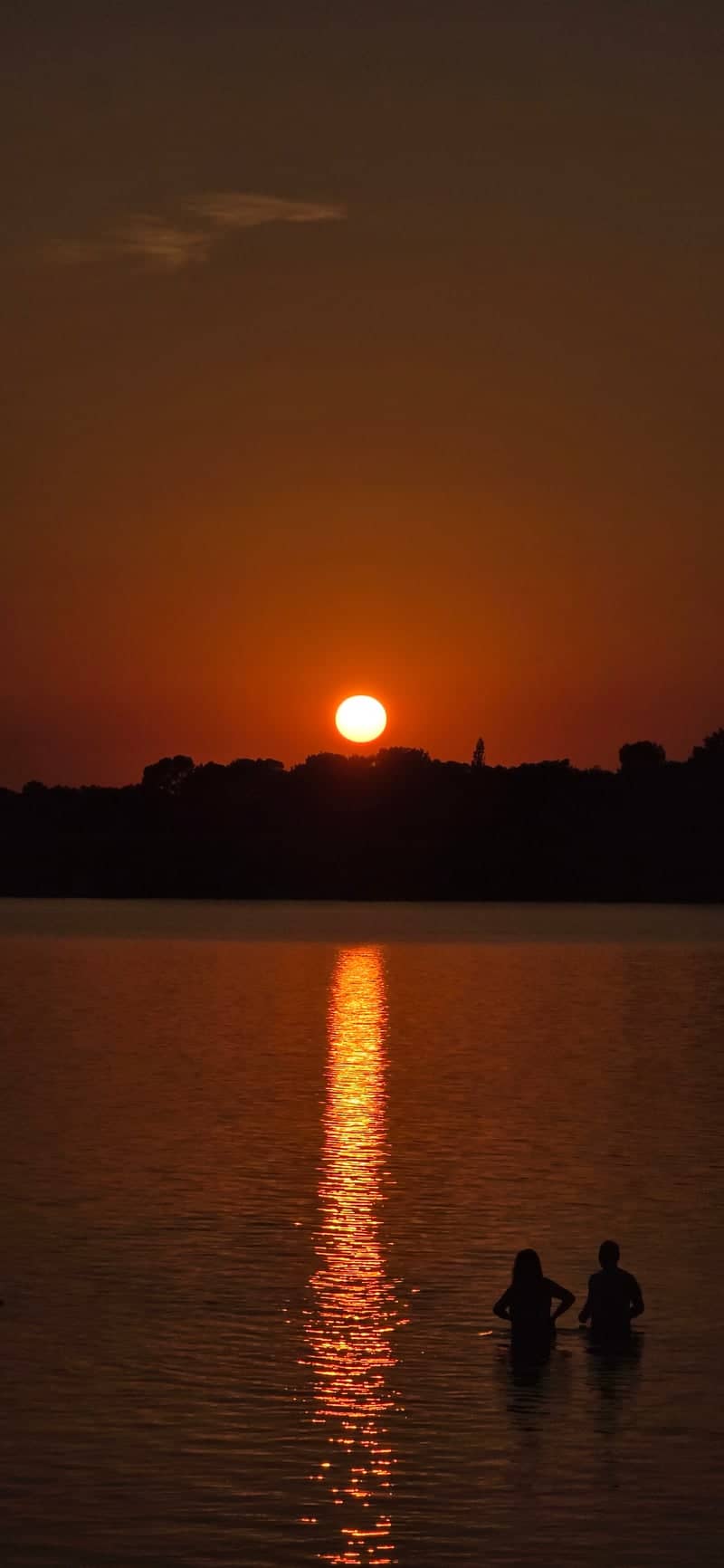 Lac d'Arjuzanx - Image 1