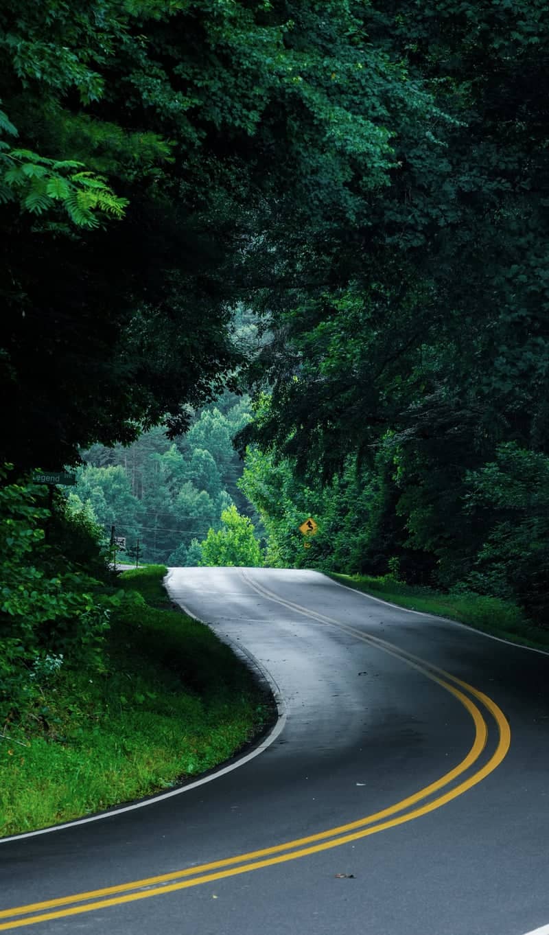 Tusquittee Road Forest Drive - Image 1