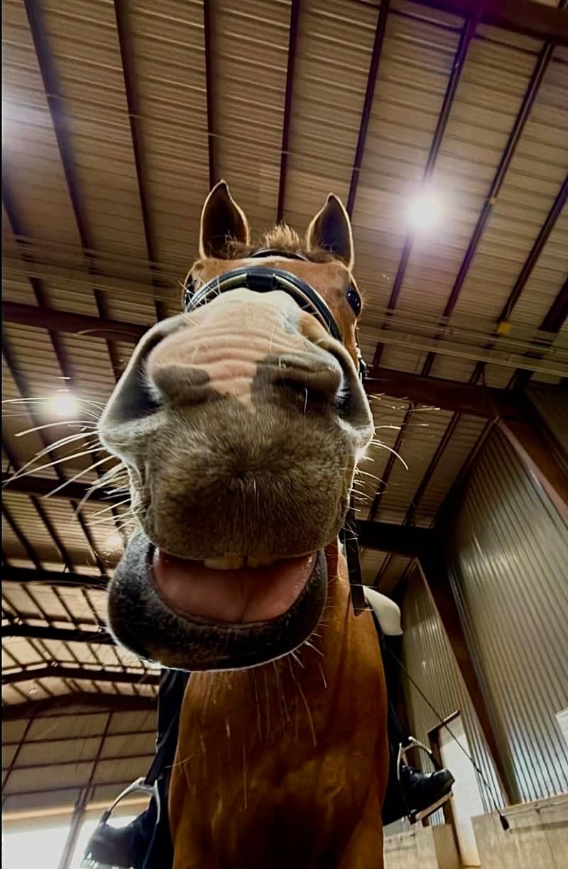 Lone Man Mountain Equestrian Center - Image 1