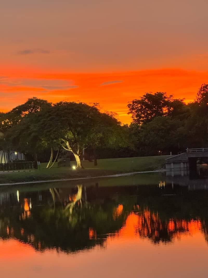Jacaranda Lake Sunset - Image 1