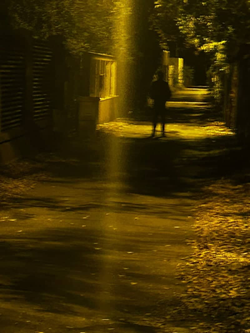 Voluntari Night Path - Image 1