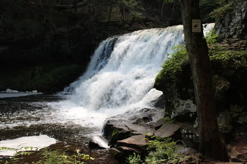 Wadsworth Big Falls - Image 1