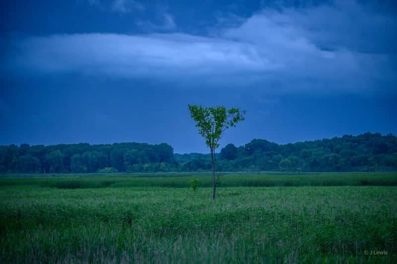 Haenhle Memorial Sanctuary - Image 1