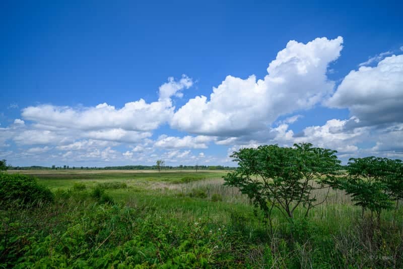 Haenhle Memorial Sanctuary - Image 1