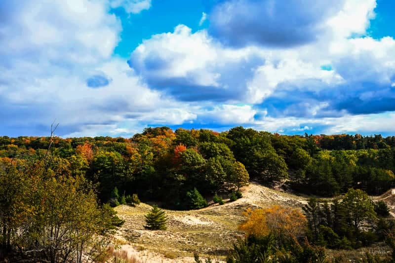 Ludington State Park Skyline Trail - Image 1