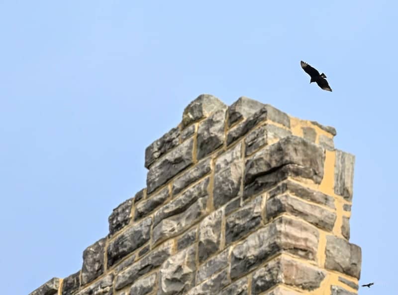 Ha Ha Tonka State Park Castle Ruins - Image 1