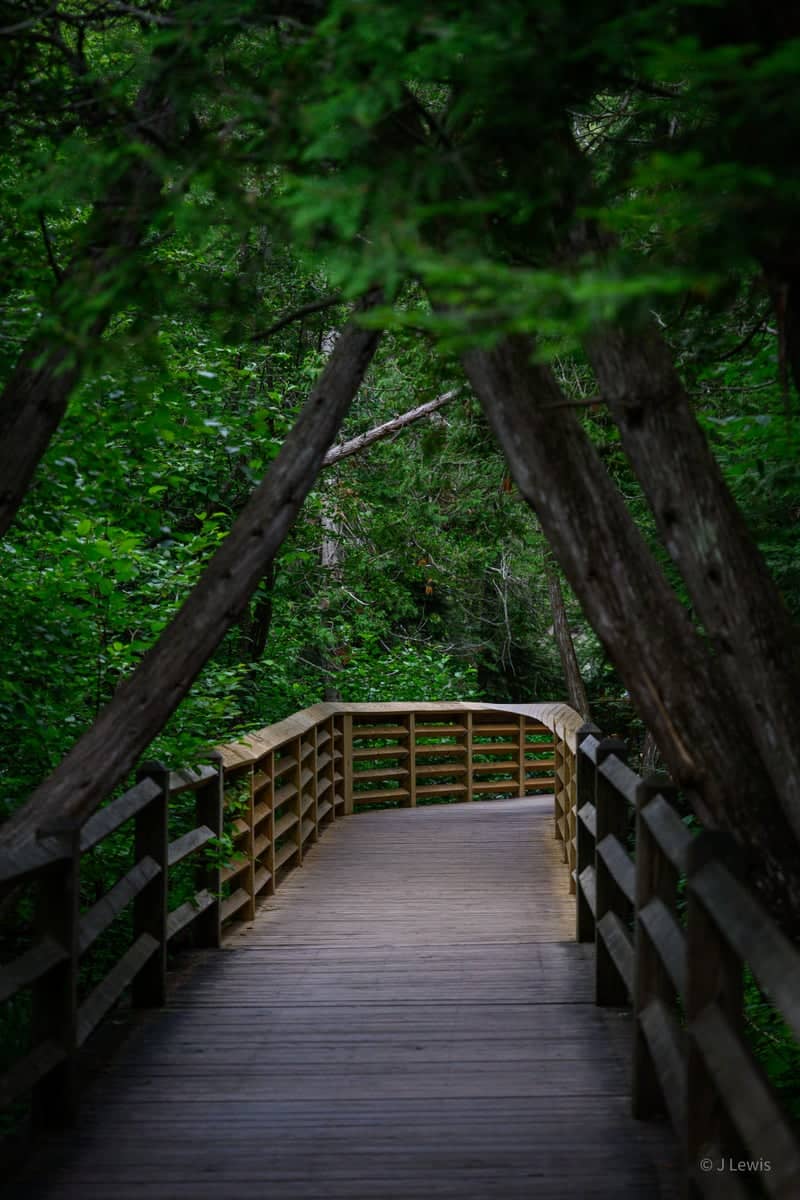 Tahquamenon Falls State Park - Lower Falls Boardwalk - Image 1