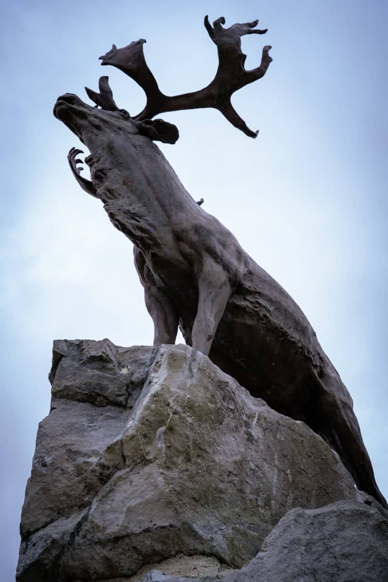 Beaumont-Hamel Newfoundland Memorial - Image 1
