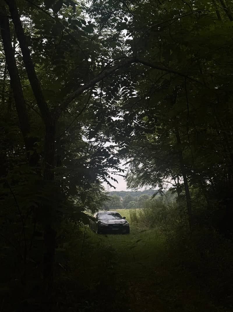 Bremen Forest Clearing - Image 1