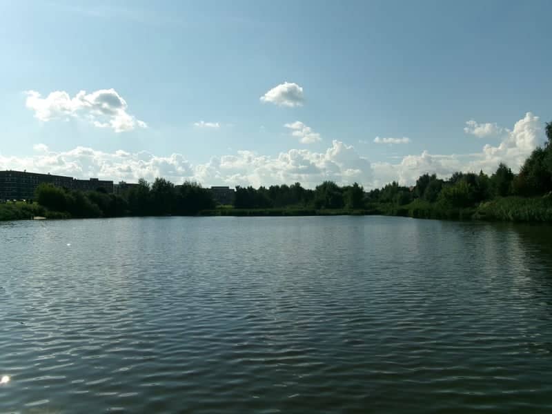 Savvinsky Pond - Image 1
