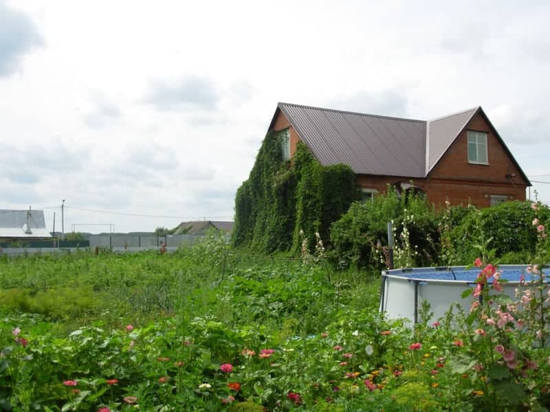 Ivy-Covered House in Saransk - Image 1