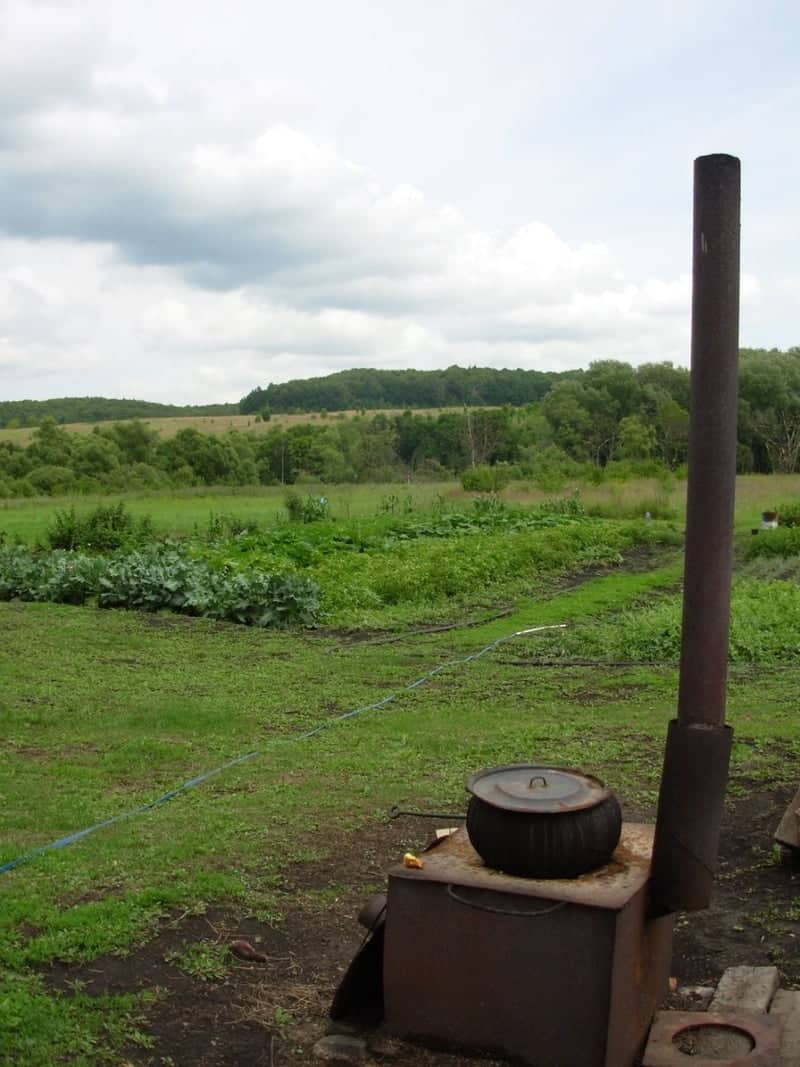 Mordovian Countryside Garden - Image 1
