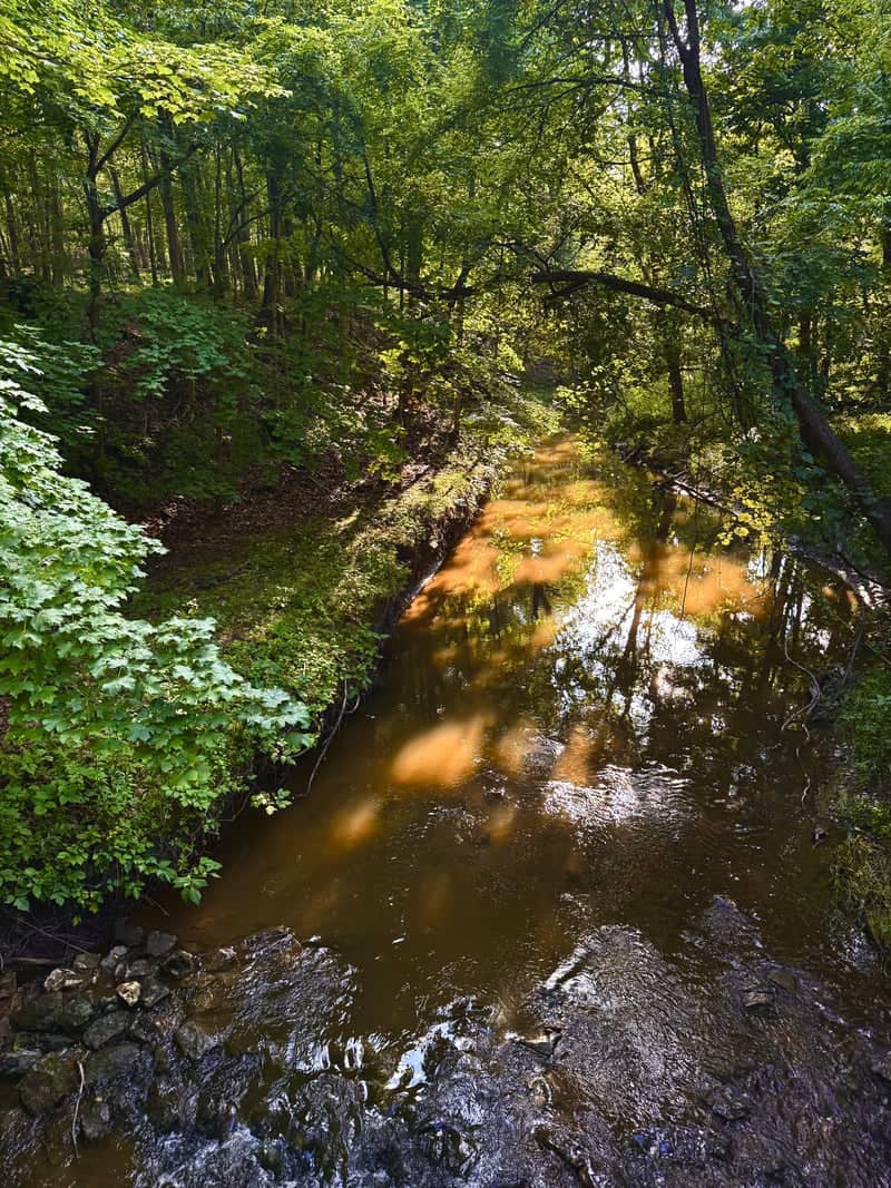 Orland Park Forest Creek - Image 1