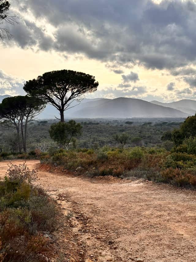 Plaine des Maures Nature Reserve