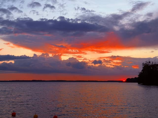 Lake Harsz Shoreline - Image 1