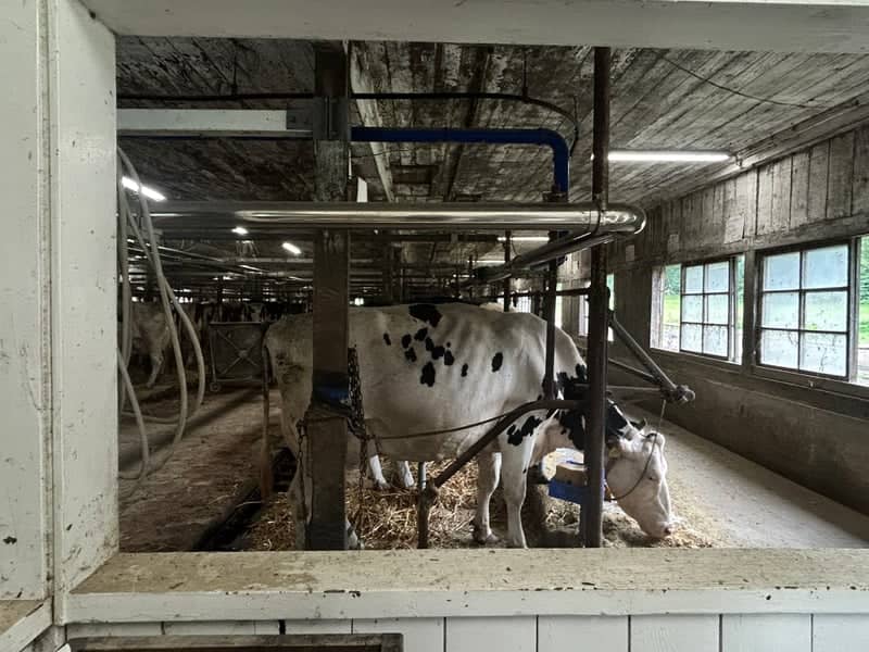 Shizukuishi Dairy Farm Barn - Image 2