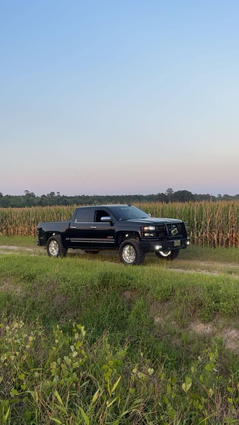 Georgia Cornfield Farm Road - Image 1