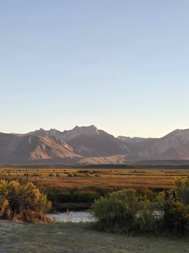 Brown's Owens River Campground - Image 1