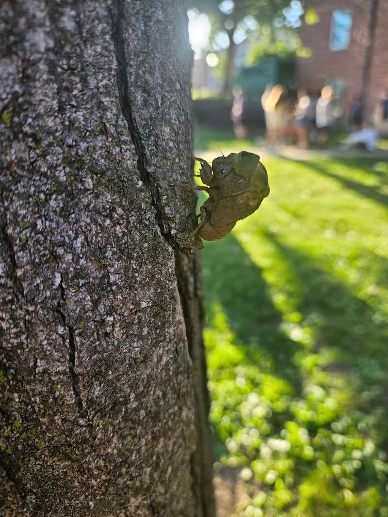 Truman State University Grounds - Image 1