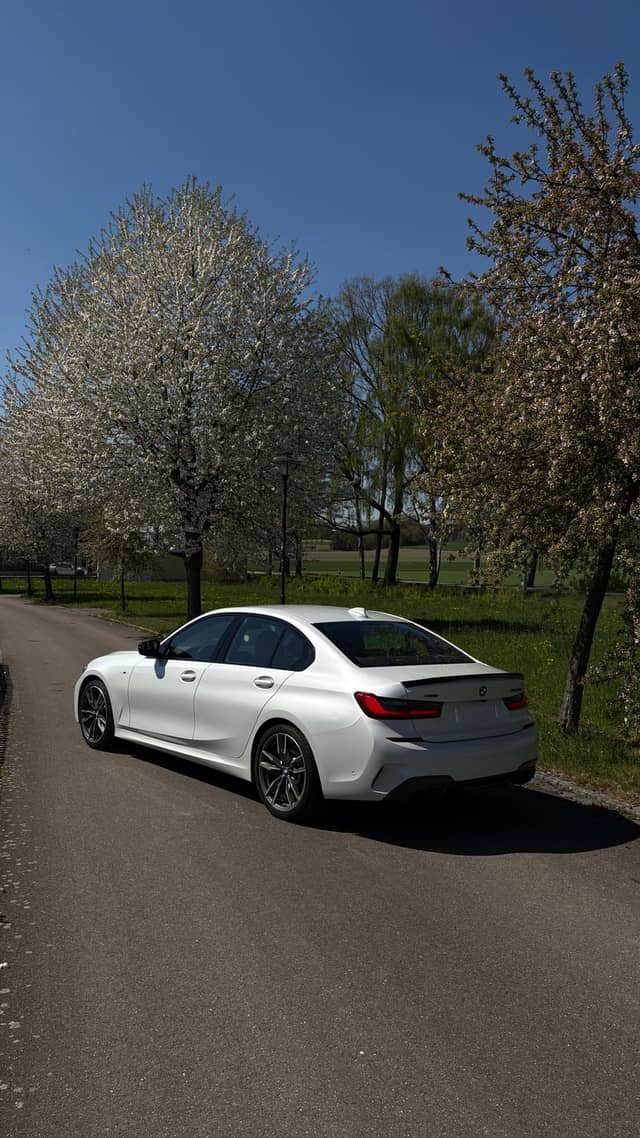 Blossom-Lined Road in Schrobenhausen - Image 1