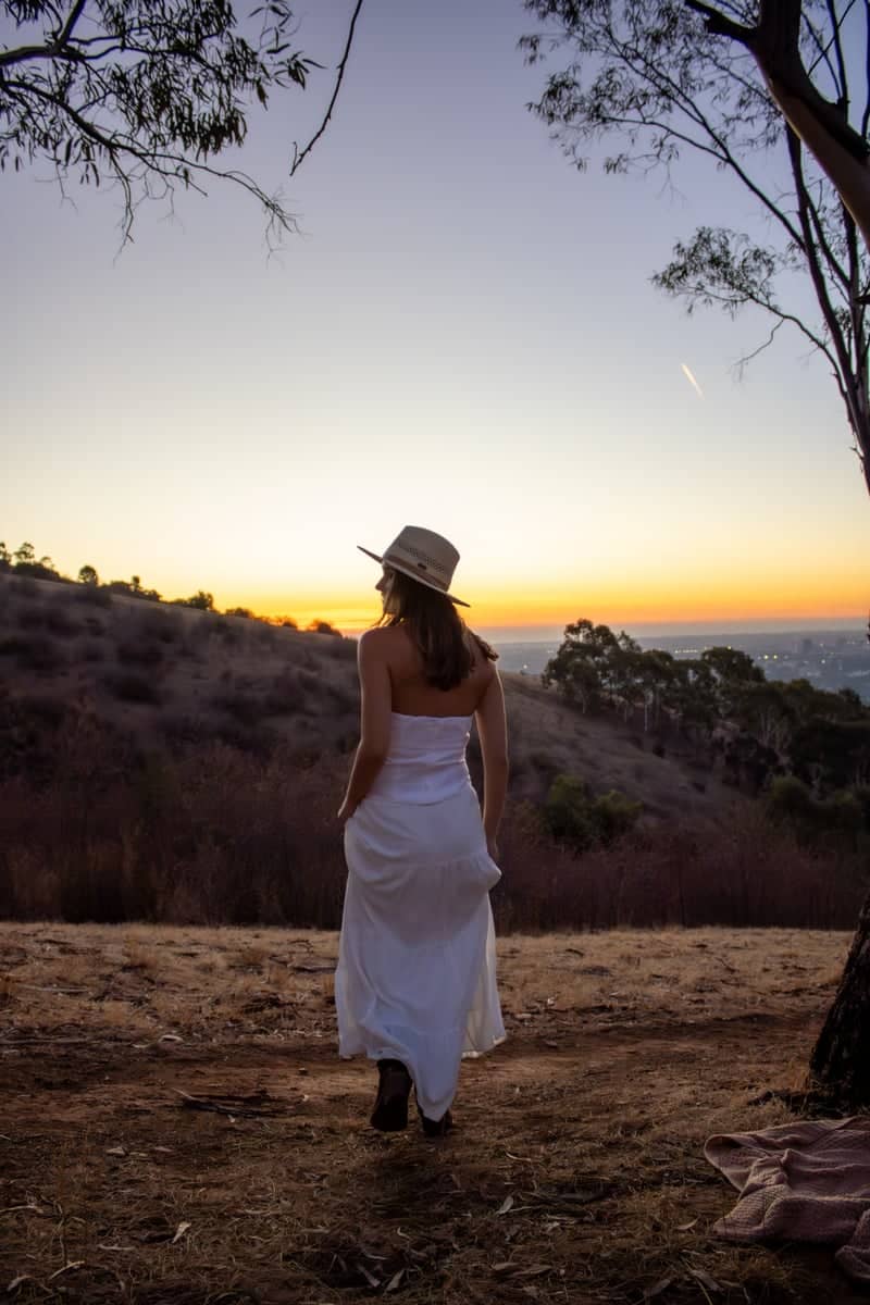 Waterfall Gully Overlook - Image 1