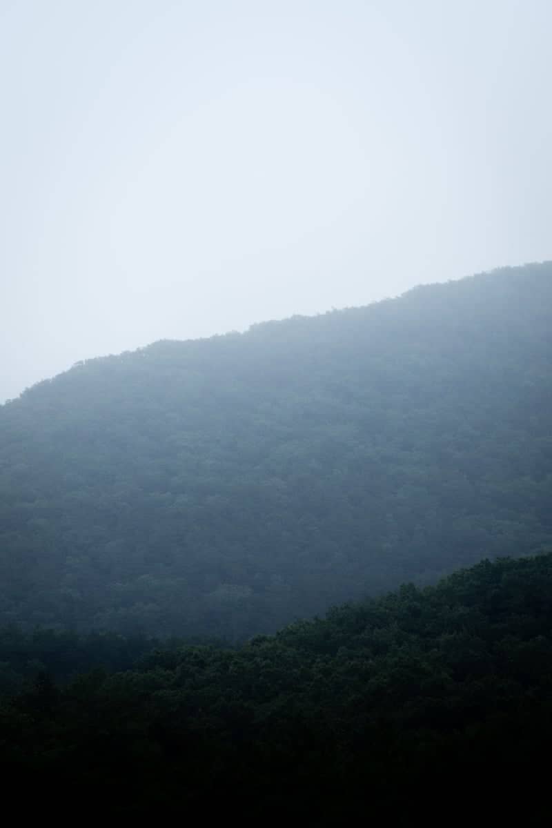 Misty Appalachian Ridges - Image 2
