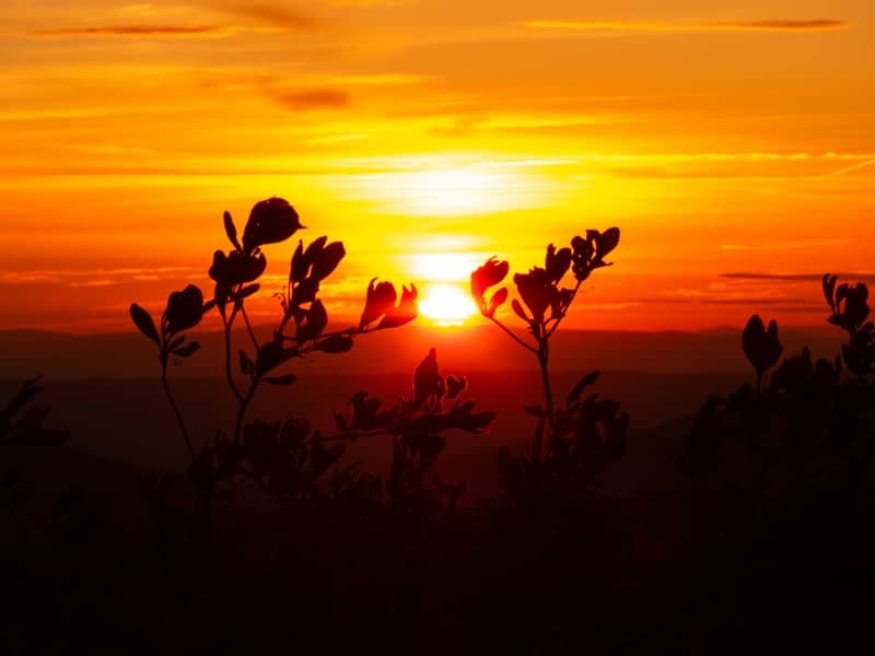 Shenandoah Valley Sunset Overlook - Image 1