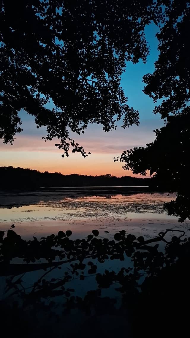 Pätzer Vordersee Shoreline - Image 1