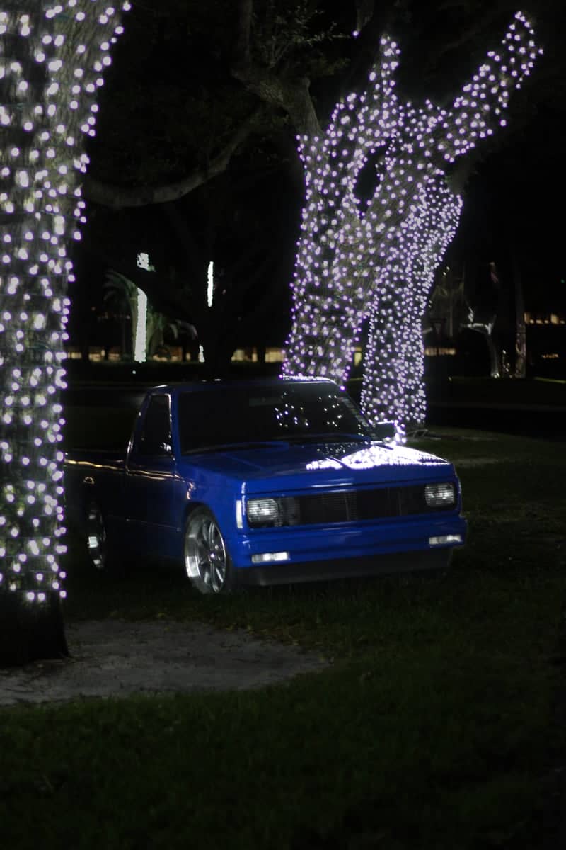 T-Rex Avenue Holiday Lights - Image 1
