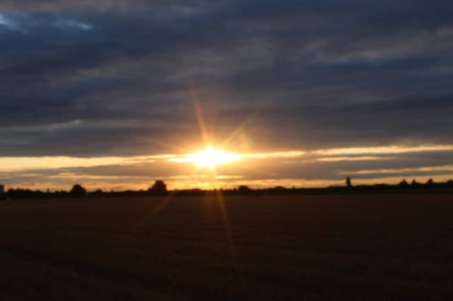 Gliwice Field Sunset - Image 1