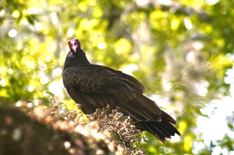 Florida Museum of Natural History Grounds - Image 1