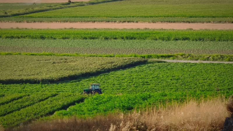 Tevfikiye Farmlands - Image 1