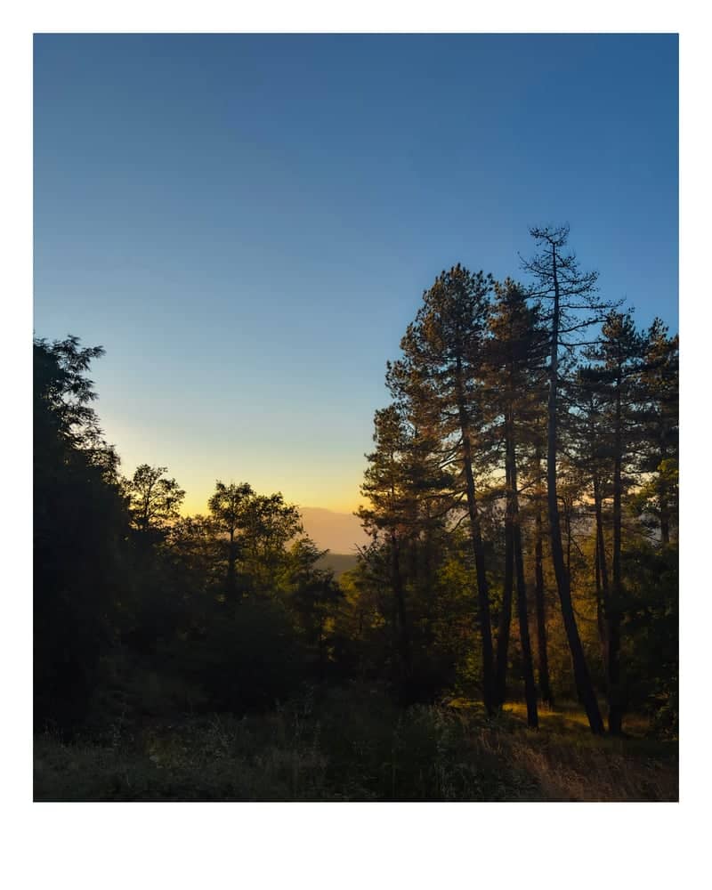 Poggio Boscone Forest Overlook - Image 1