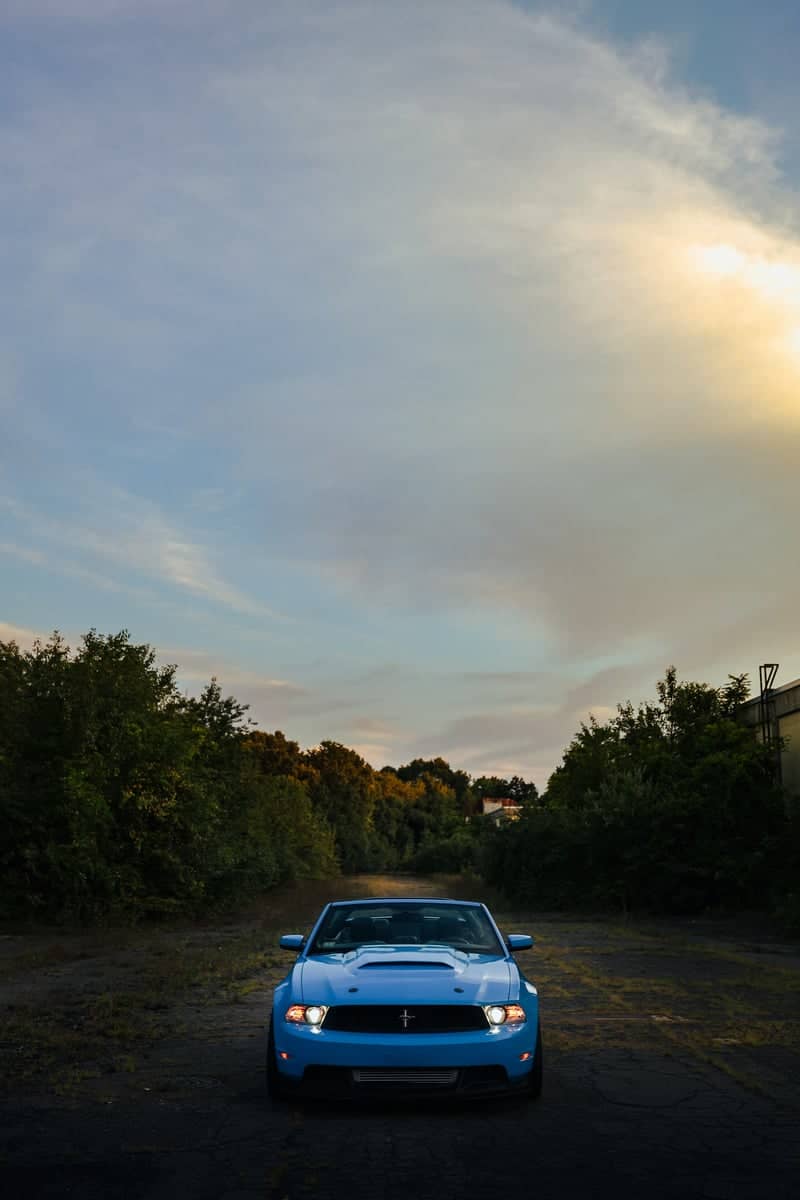 Chestnut Street Automotive Clearing - Image 1
