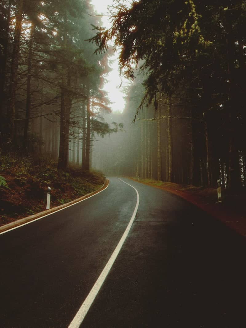 Madeira Mountain Forest Road - Image 1